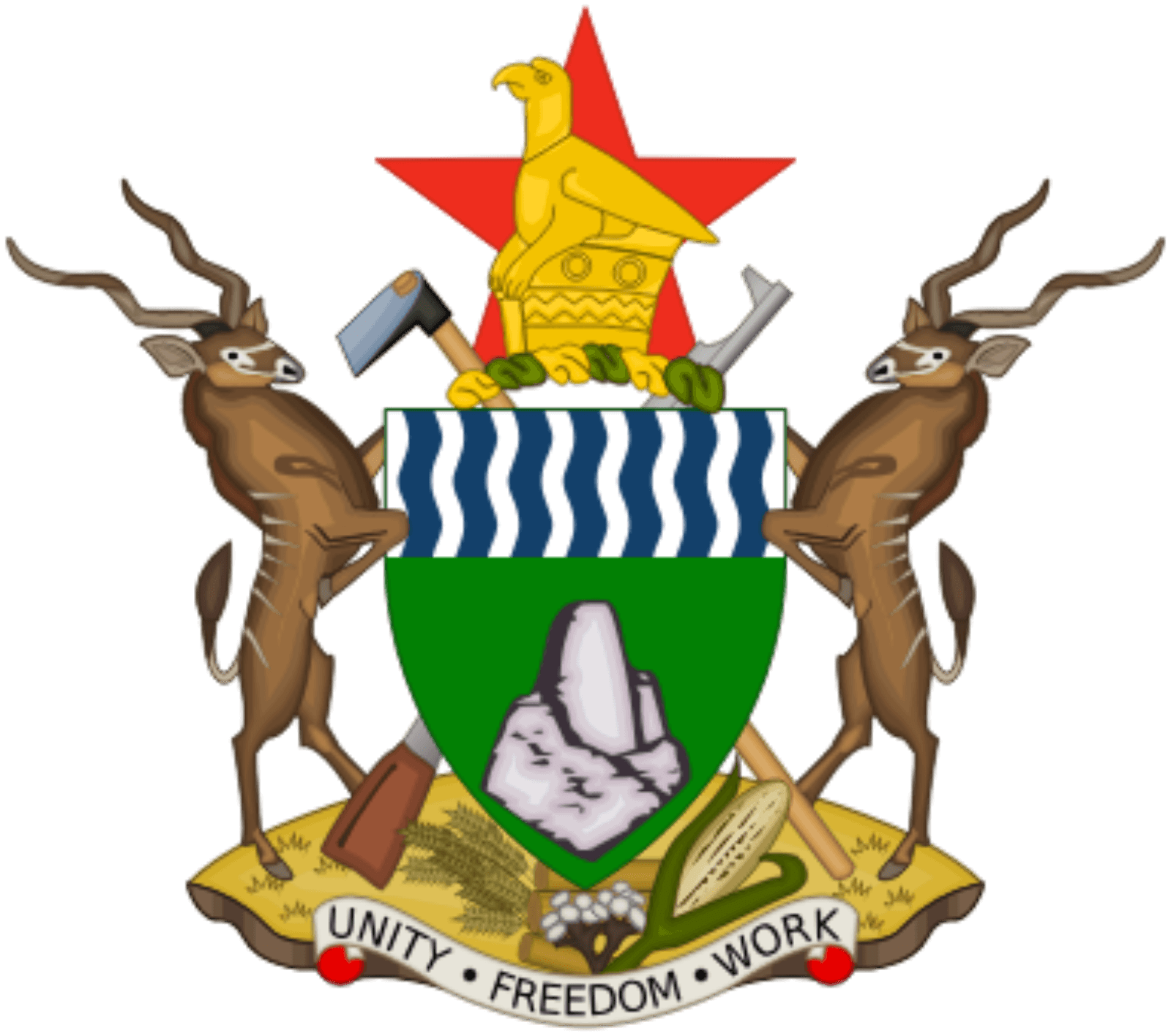 ZIM